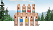 Spray Deodorant 4-Pack G10