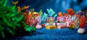 SpongeBob 4-Pack F19
