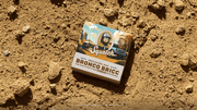 Bronco Bricc Z2
