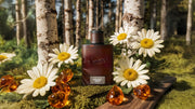 Midnight Birch Cologne B11
