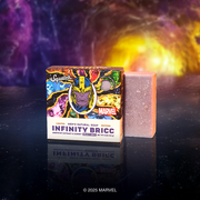 Infinity Bricc E9