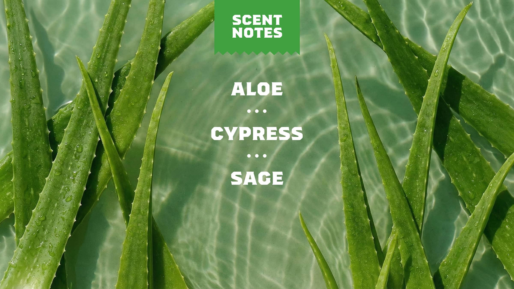 Cool Fresh Aloe Conditioner S9