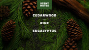 Pine Tar Lotion C13