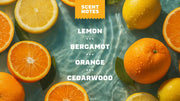 Summer Citrus Hand Soap I10