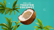 Coconut Castaway Lotion F6