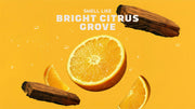 Summer Citrus Hand Soap I10