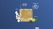 Golden Glory Hat-Trick Pack V3